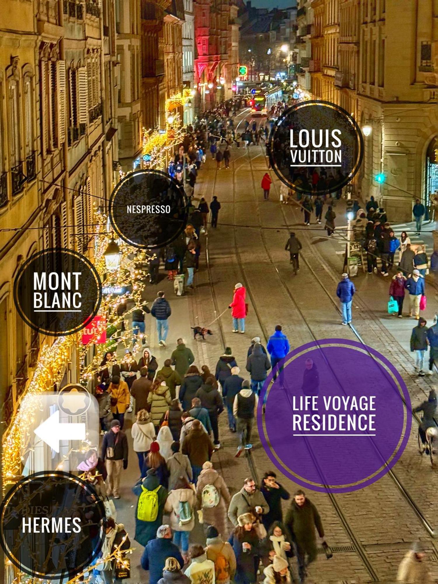 Life Voyage Residence & Spa - Strasbourg'S City Center Luxury Experience Buitenkant foto
